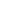 Wolle Icon