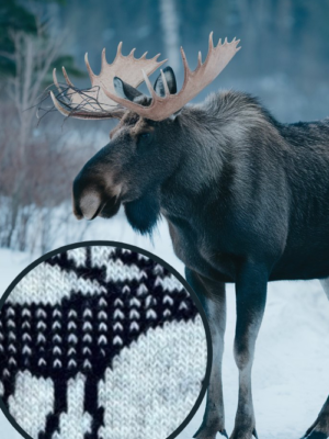 elch-norwegen wollsocke__produktbild fokus.jpg