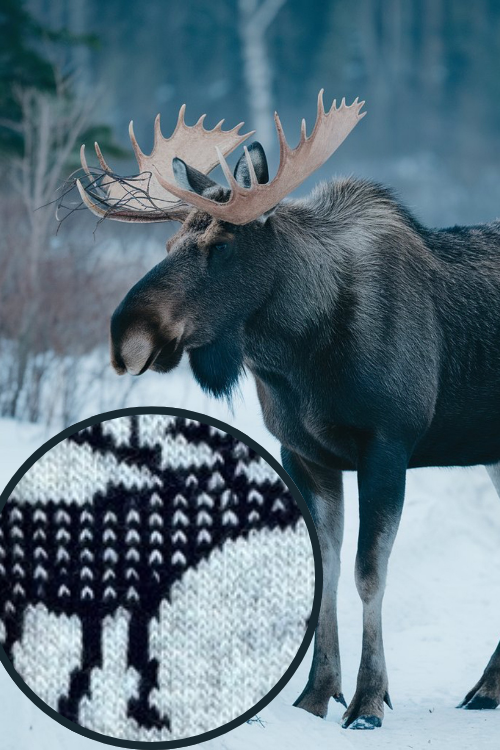 🇧🇻 Wollsocken „Elch“ aus 80 % Schurwolle – Norwegen Edition