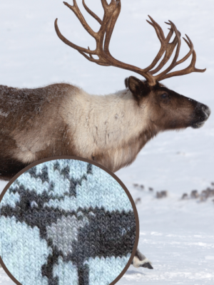 rentier-norwegen-wollsocke_produktbild fokus.jpg