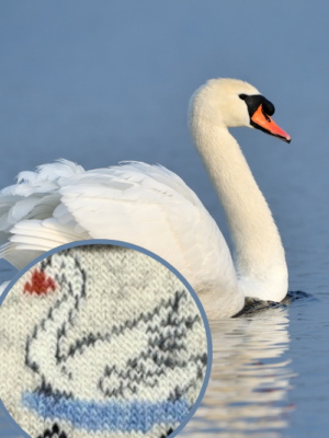 singschwan-finnland-wollsocke_produktbild fokus.jpg